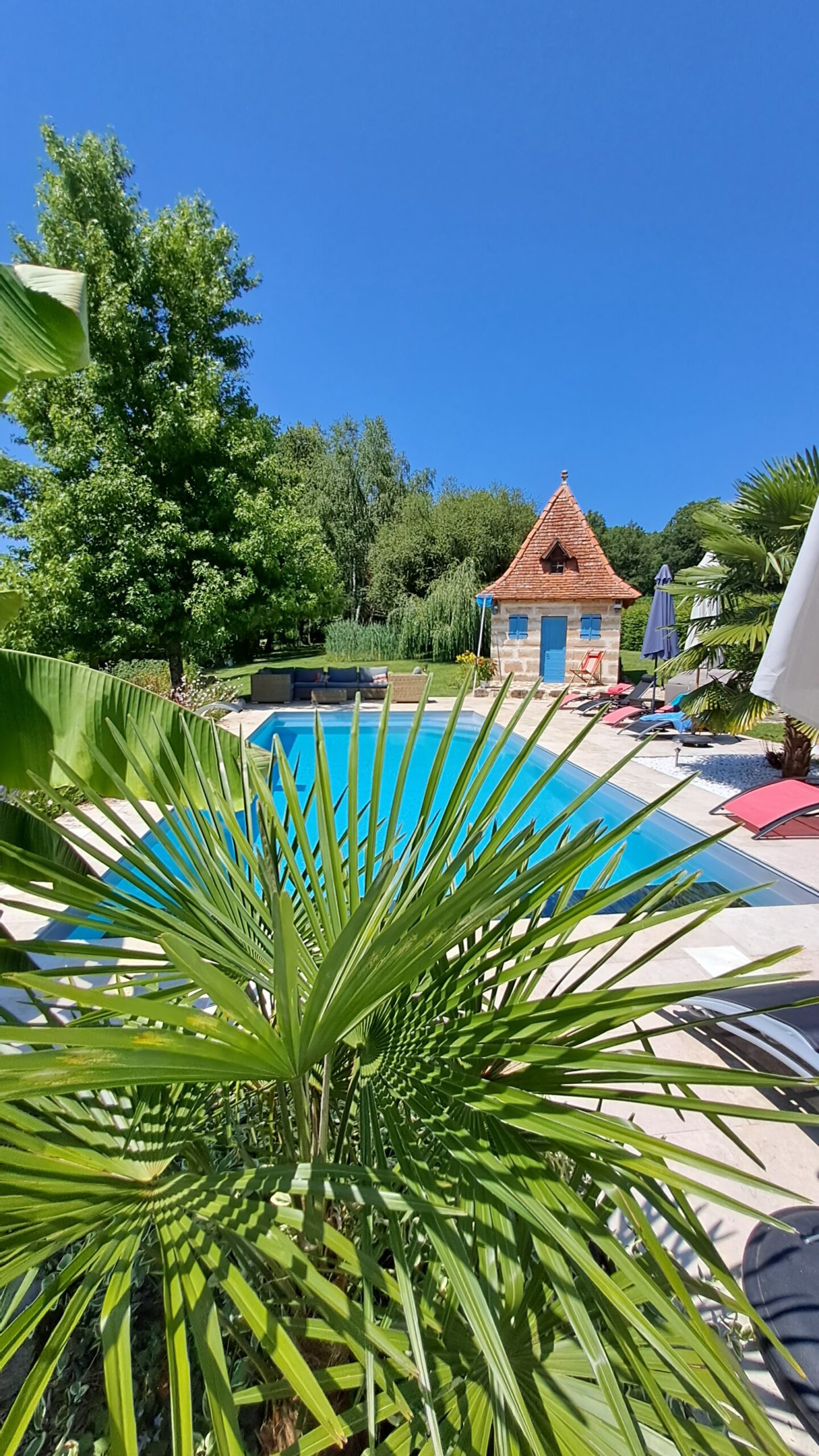 Piscine chauffée et pool house