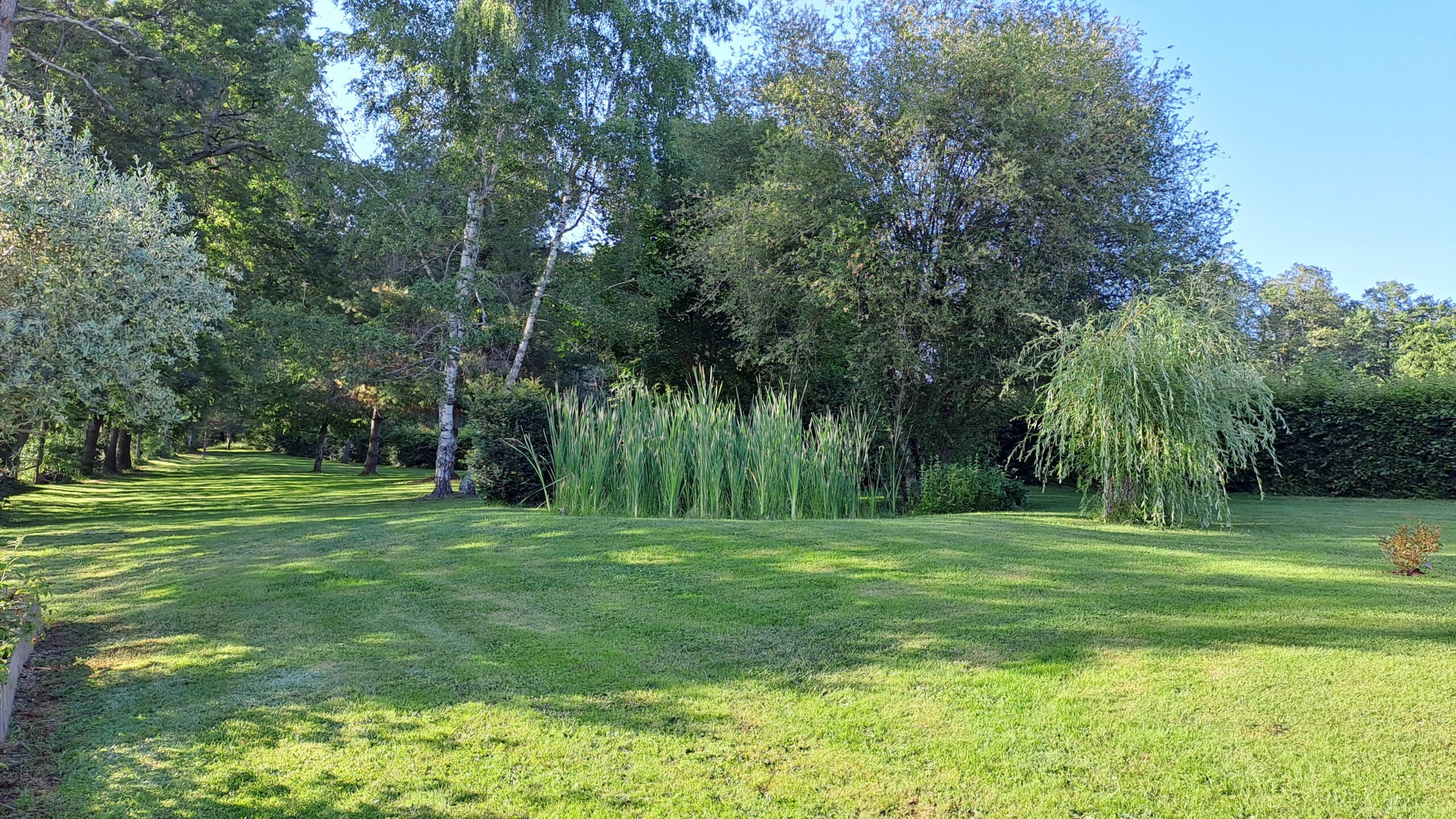 Parc ombragé de 8000m²